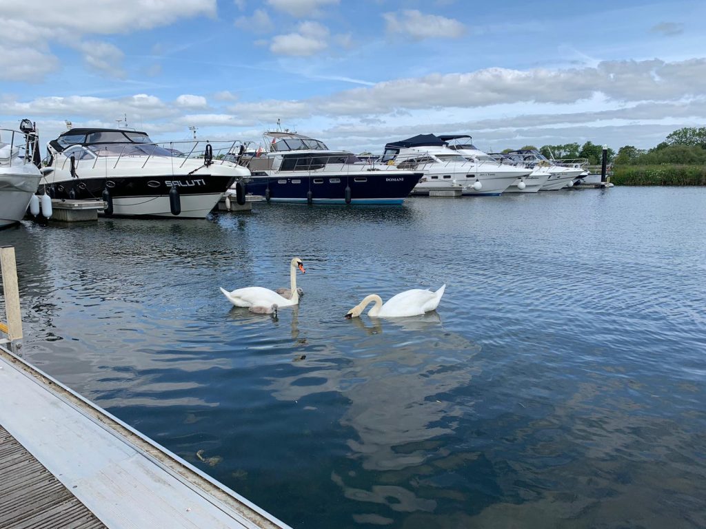 Domani at Racecourse Marina